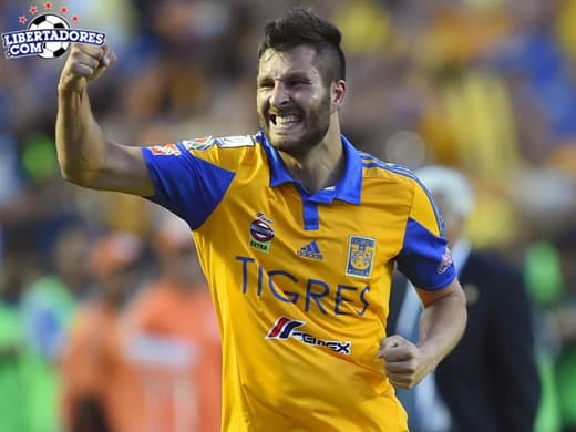 tigres-finalista